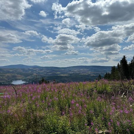 Bergmannsruh Apartment Клаустал-Целерфелд Екстериор снимка